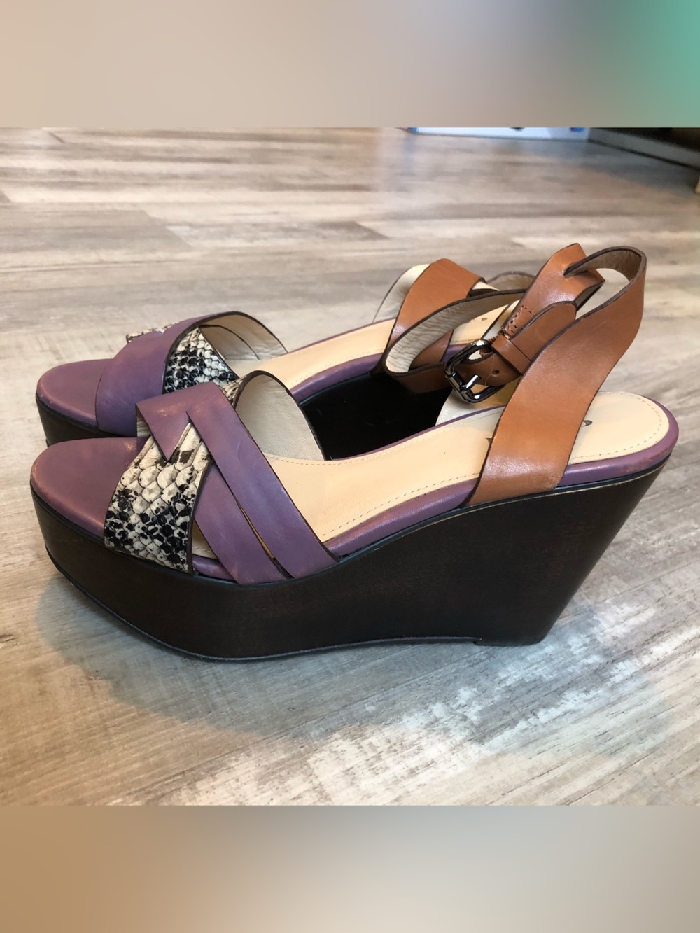 Coach Wedges